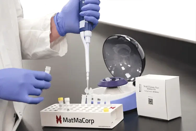Employee pipetting into tube