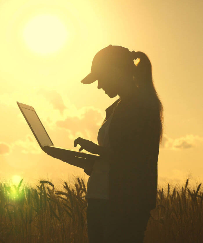 Female researcher backlit in wheat field