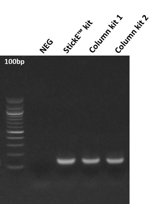 StickE column comparison agarose gel